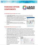 lead now purchase options